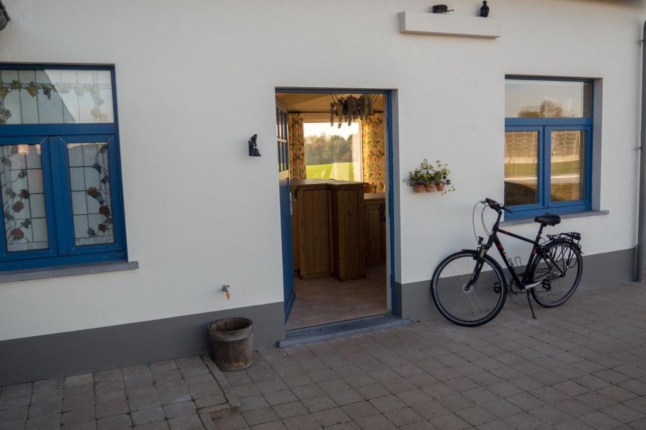 Vakantiewoning De Wilg - Rustig Gelegen Geraardsbergen Eksteriør bilde